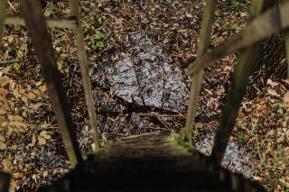 Socle escalier : à quoi ça sert et comment le poser