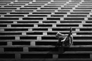 Hygrométrie bois : protéger son escalier avant la pose