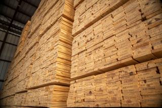 Négociant en bois : comment fonctionne le marché du bois
