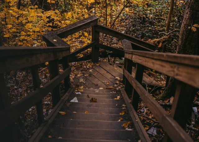 Marche escalier : guide escalier bois