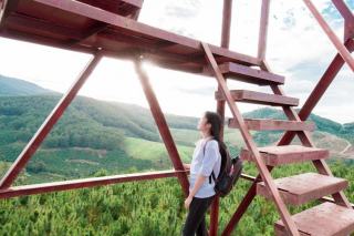 Escalier quart tournant haut en bois : guide d'achat