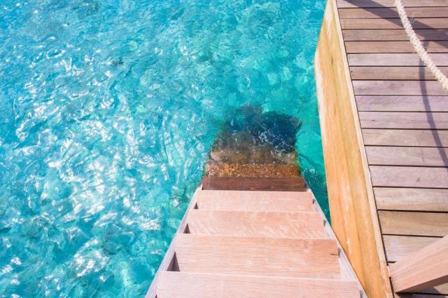 L'escalier Ambene en hêtre massif : un choix solide et esthétique