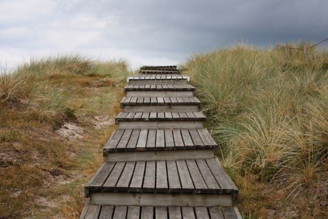 Destockage escalier exterieur : guide escalier bois